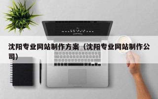 福鼎沈阳专业网站制作方案（沈阳专业网站制作公司）